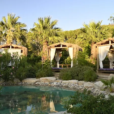 Hotel Kairos Valley Wellness & Longevity Datca