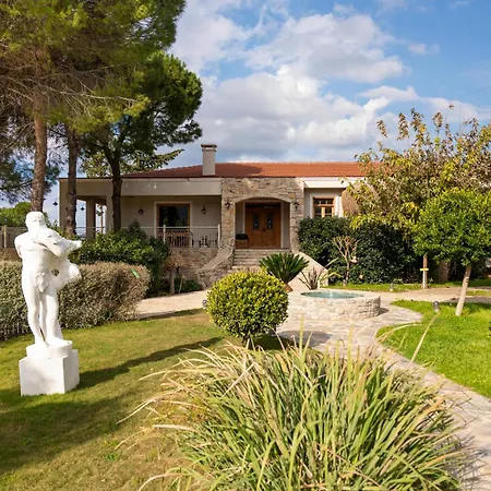 Kairos Valley Wellness & Longevity