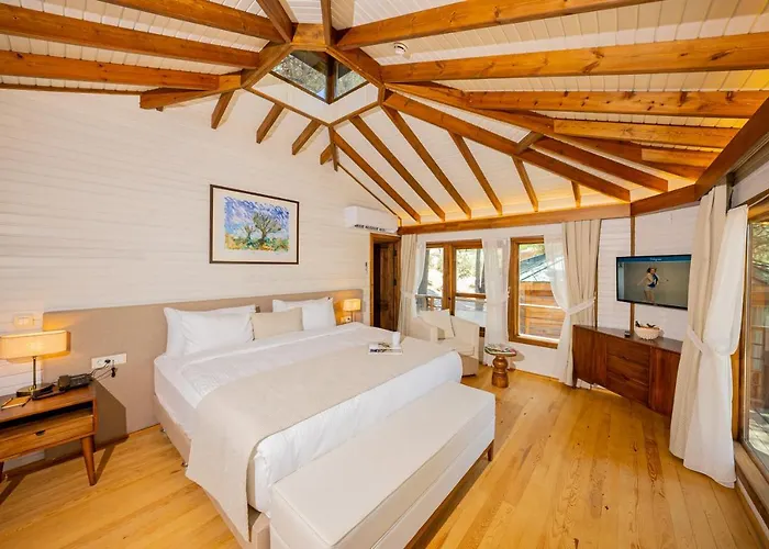 Kairos Valley Wellness & Longevity Datca