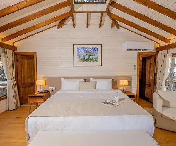 Kairos Valley Wellness & Longevity