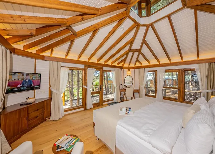 Kairos Valley Wellness & Longevity Hotel Datca