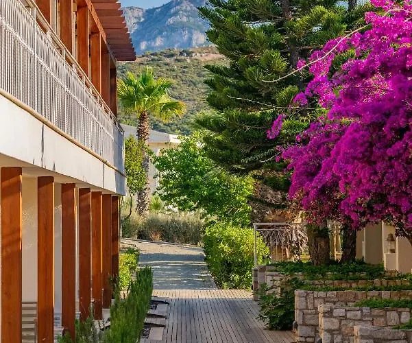 Hotel Kairos Valley Wellness & Longevity Datca