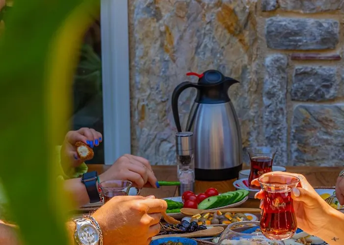 Kairos Valley Wellness & Longevity * Datca