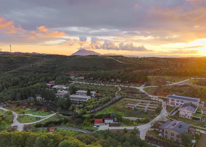 Kairos Valley Wellness & Longevity * Datca