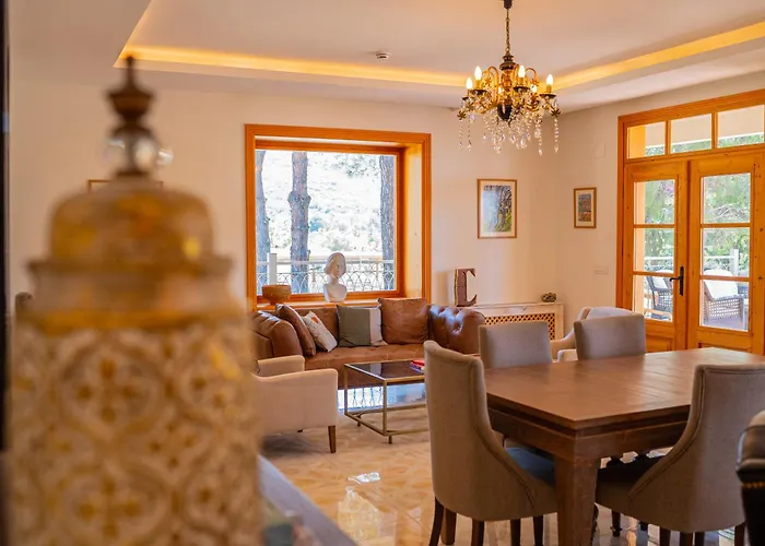 Kairos Valley Wellness & Longevity