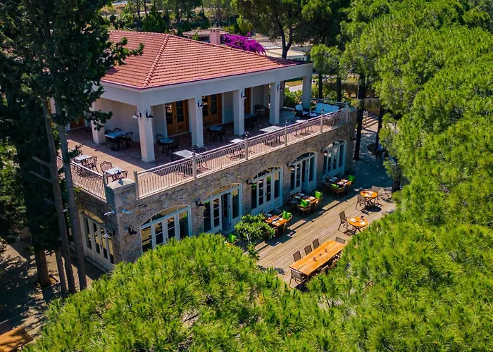 Kairos Valley Wellness & Longevity *