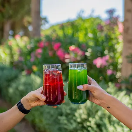 Kairos Valley Wellness & Longevity Hotel Datca