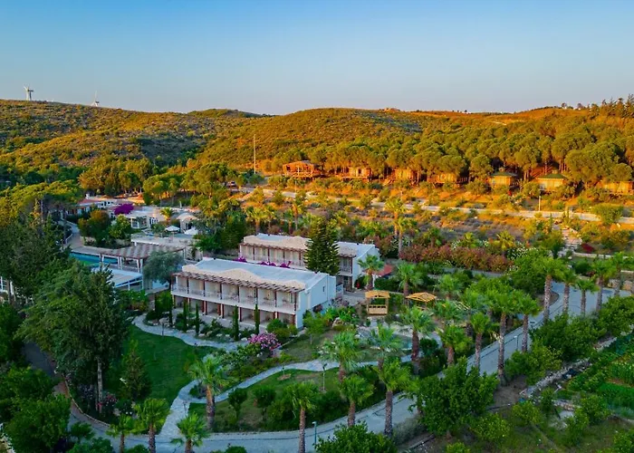 Kairos Valley Wellness & Longevity Datca