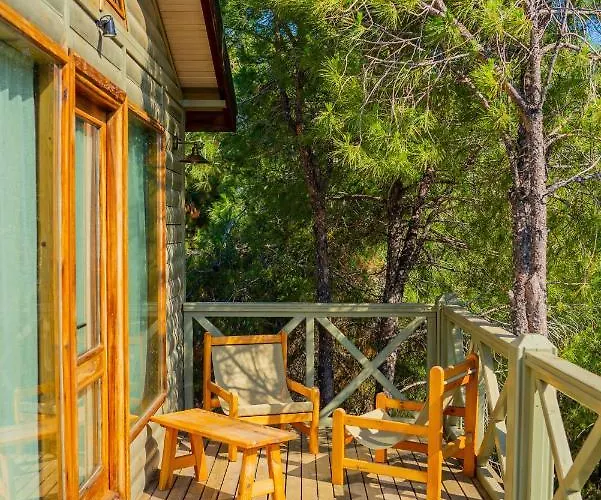 Kairos Valley Wellness & Longevity *