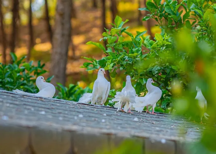 Hotel Kairos Valley Wellness & Longevity *