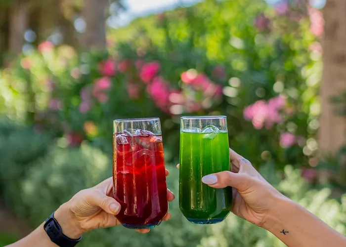 Kairos Valley Wellness & Longevity Hotel Datca