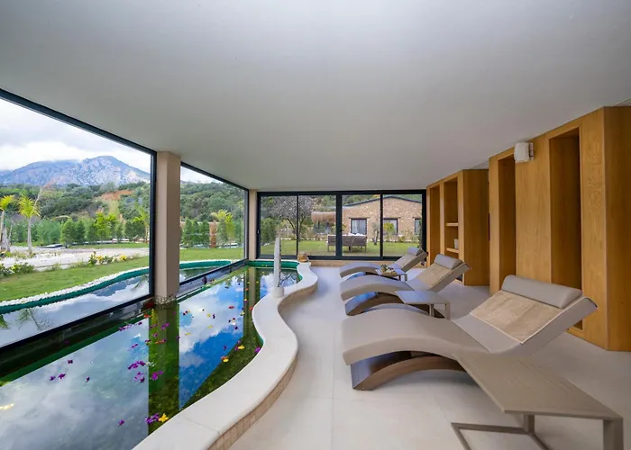 Kairos Valley Wellness & Longevity * Datca