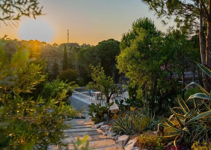 Kairos Valley Wellness & Longevity * Datca