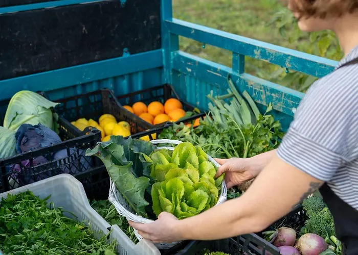 Kairos Valley Wellness & Longevity Hotel Datca