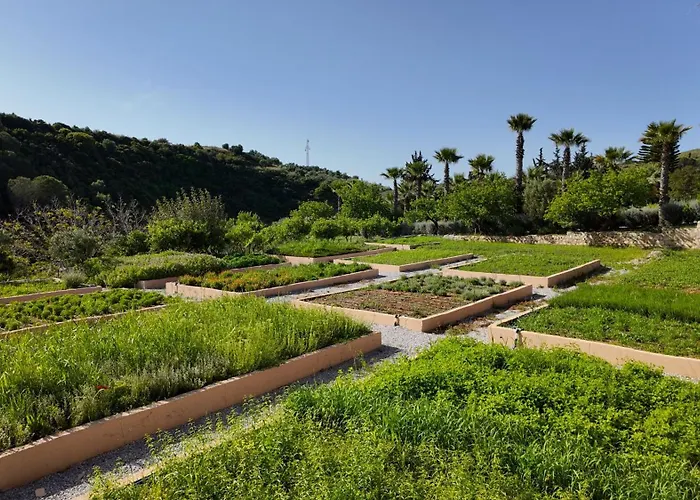 Hotel Kairos Valley Wellness & Longevity