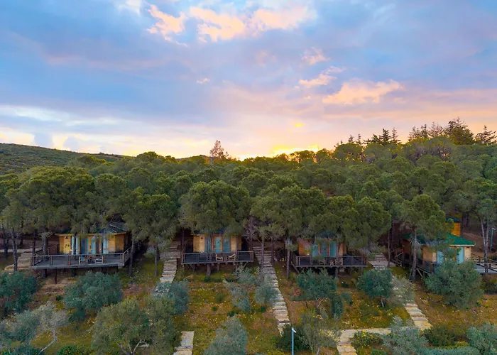 Kairos Valley Wellness & Longevity Hotel Datca